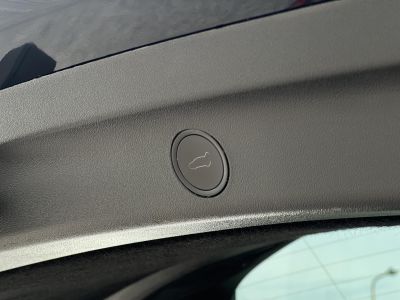 TESLA MODEL Y Performance AWD (Automata)