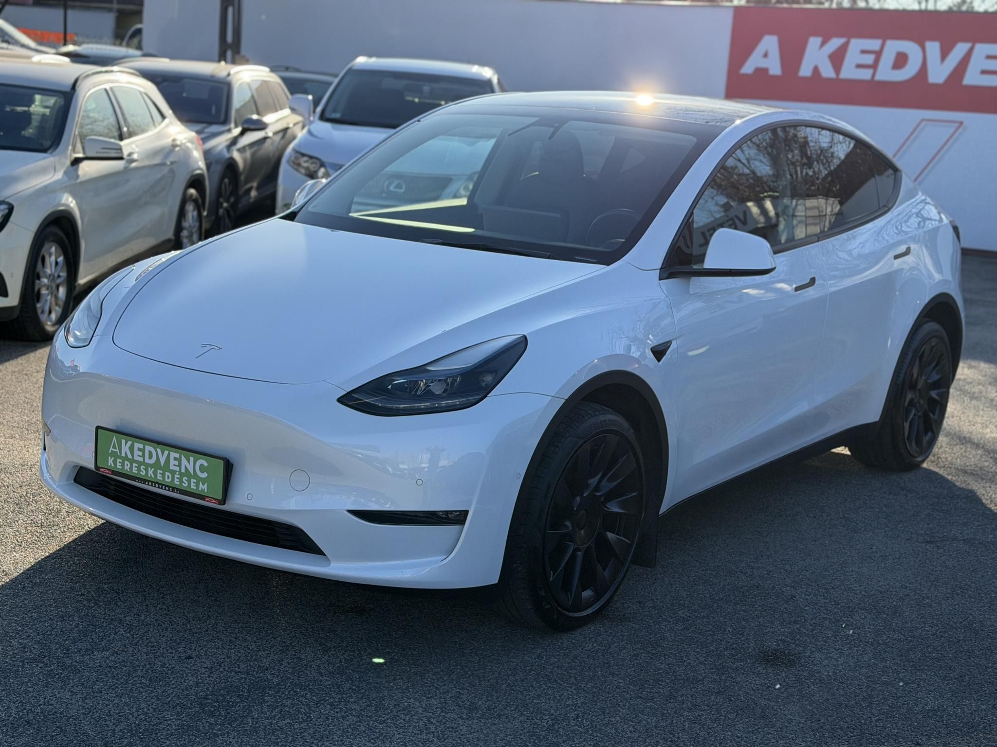 TESLA MODEL Y Long Range AWD (Automata) 72e km. AMD Ryzen. hőszivattyú. mátrix LED. garanciális!