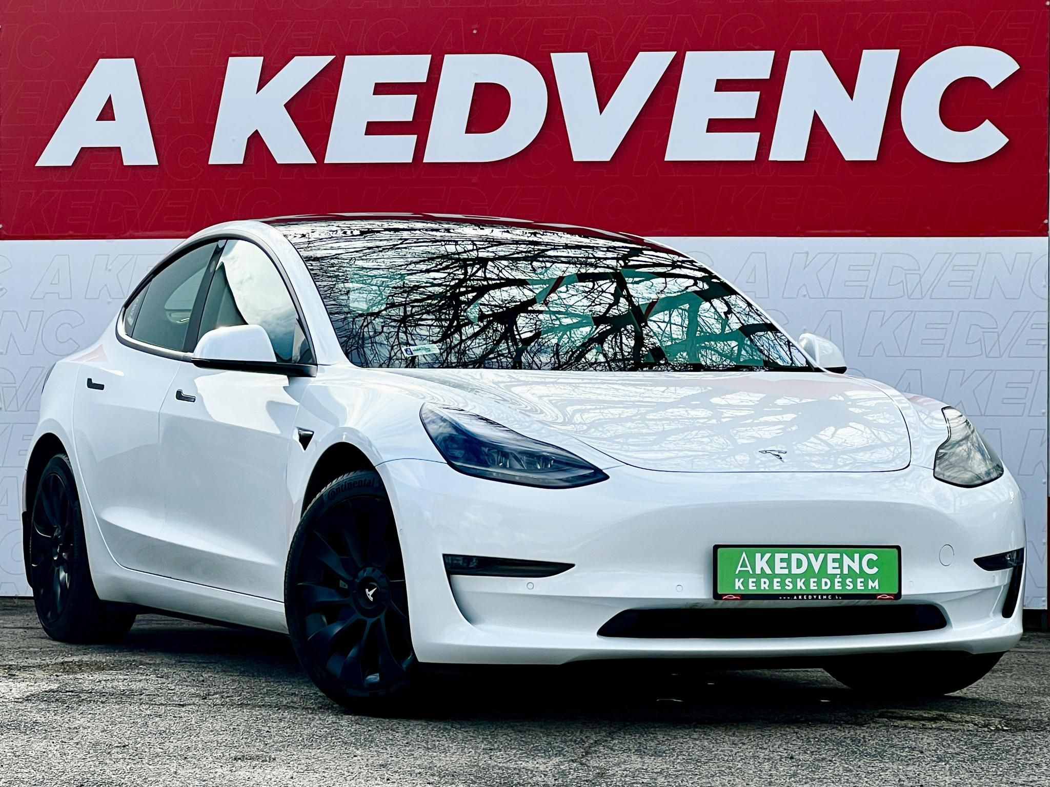 TESLA MODEL 3 Long Range AWD (Automata) 500km-es hatótáv. mátrix LED. garanciális. hőszívattyú. 4 évszakos gumik!
